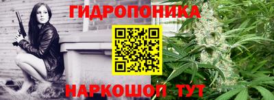 spice Кунгур