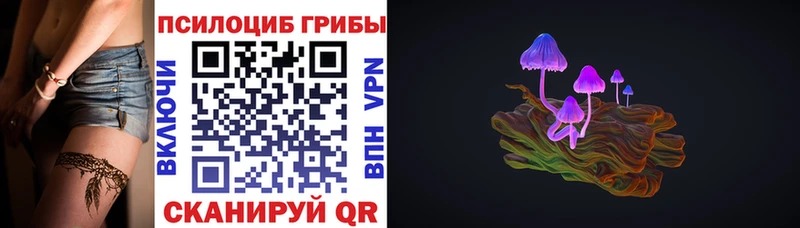 наркотики Корсаков Галлюциногенные грибы мицелий