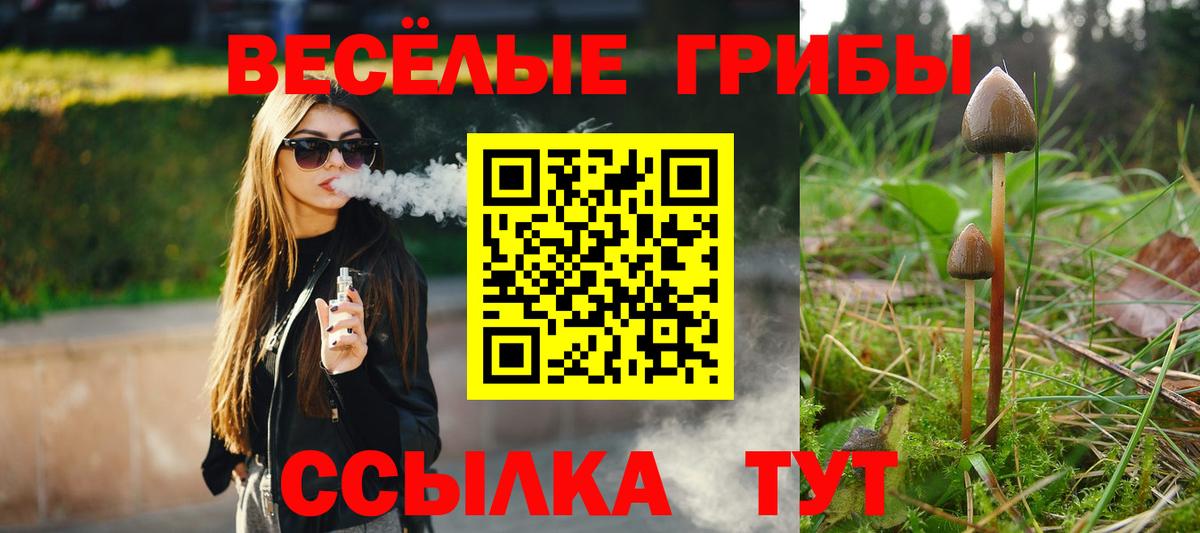 Галлюциногенные грибы прущие грибы  Вход с VPN  Корсаков 
